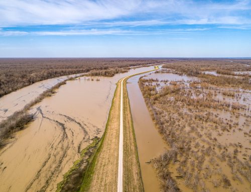 Achieving Climate Resilience with PPPs